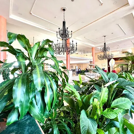 Estudio Con Ac, Wifi Y Balcon, Bien Comunicado En Tenerife Sur *